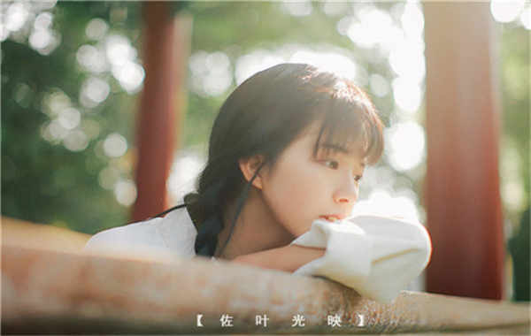 双柏胎儿性别鉴定需要多少钱(胎儿性别鉴定的方法)